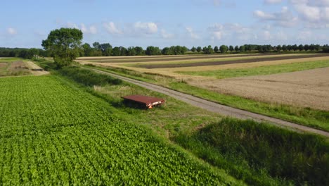 paso bajo rápido aéreo sobre los campos de verano en la provincia de zelanda, los países bajos