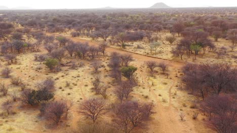 Gute-Antenne-Der-Springbock-Gazellen-Antilope,-Die-Durch-Die-Afrikanische-Savanne-In-Namibia-Läuft