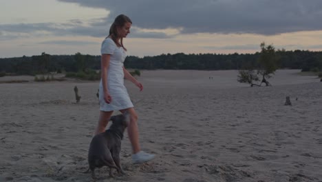 Woman-with-American-Staffordshire-Terrier-sitting-in-sand-dunes-standing-up-and-walking-away