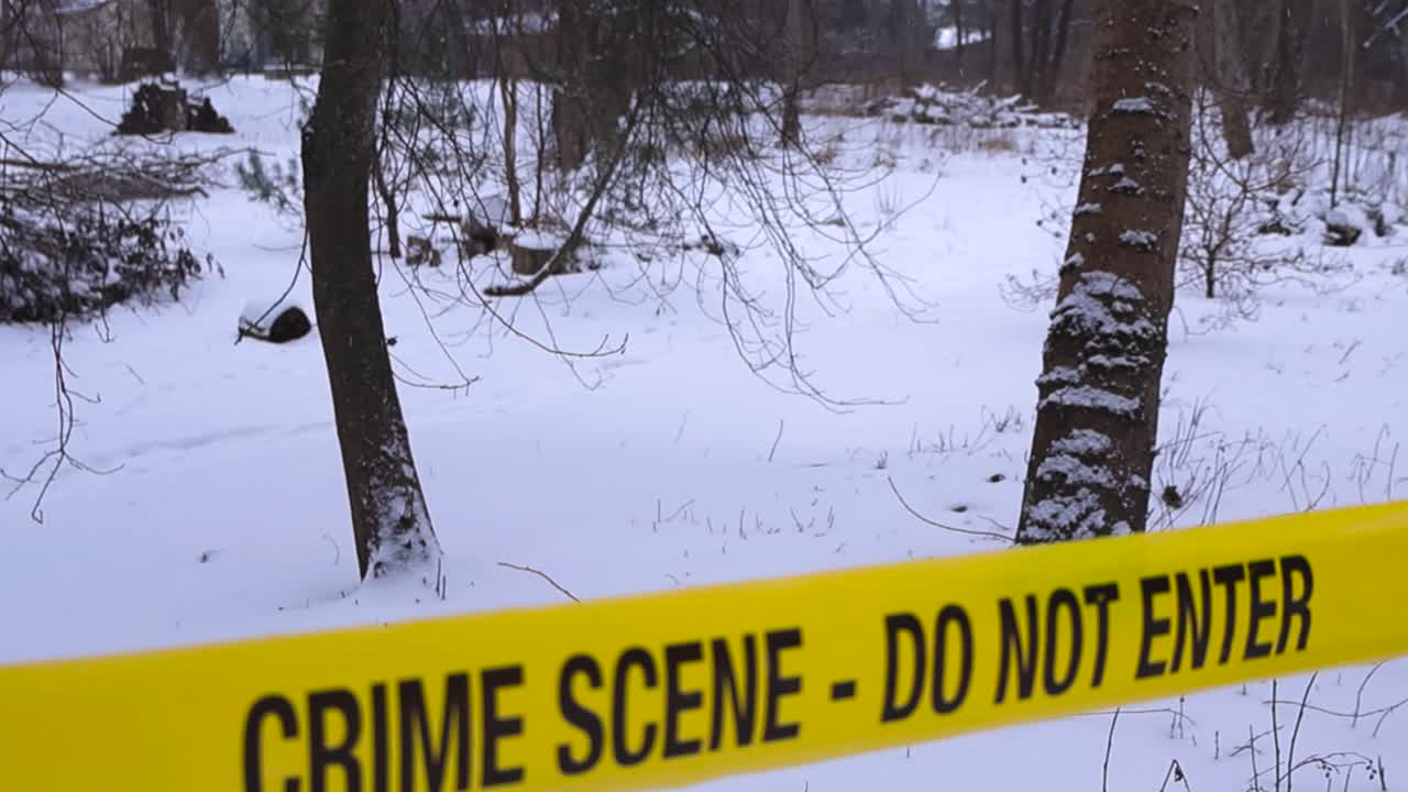 Forensic police science crime scene tape in a winter white snow covered forest whiel snow is falling. Dark trees in the bokeh, blurry background. Video slowly rising up in front of the police ribbon