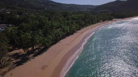 Aerial,-flying-along-a-very-long-sand-beach-with-palm-trees