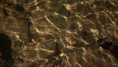 agua de arroyo flotando en suiza