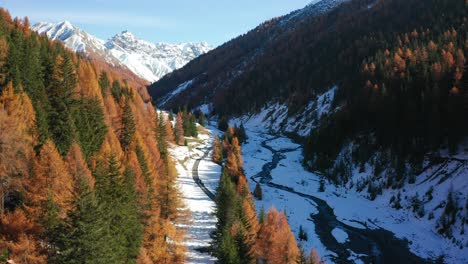 upward flight revealing a beautiful autumn landscape at the swiss national park