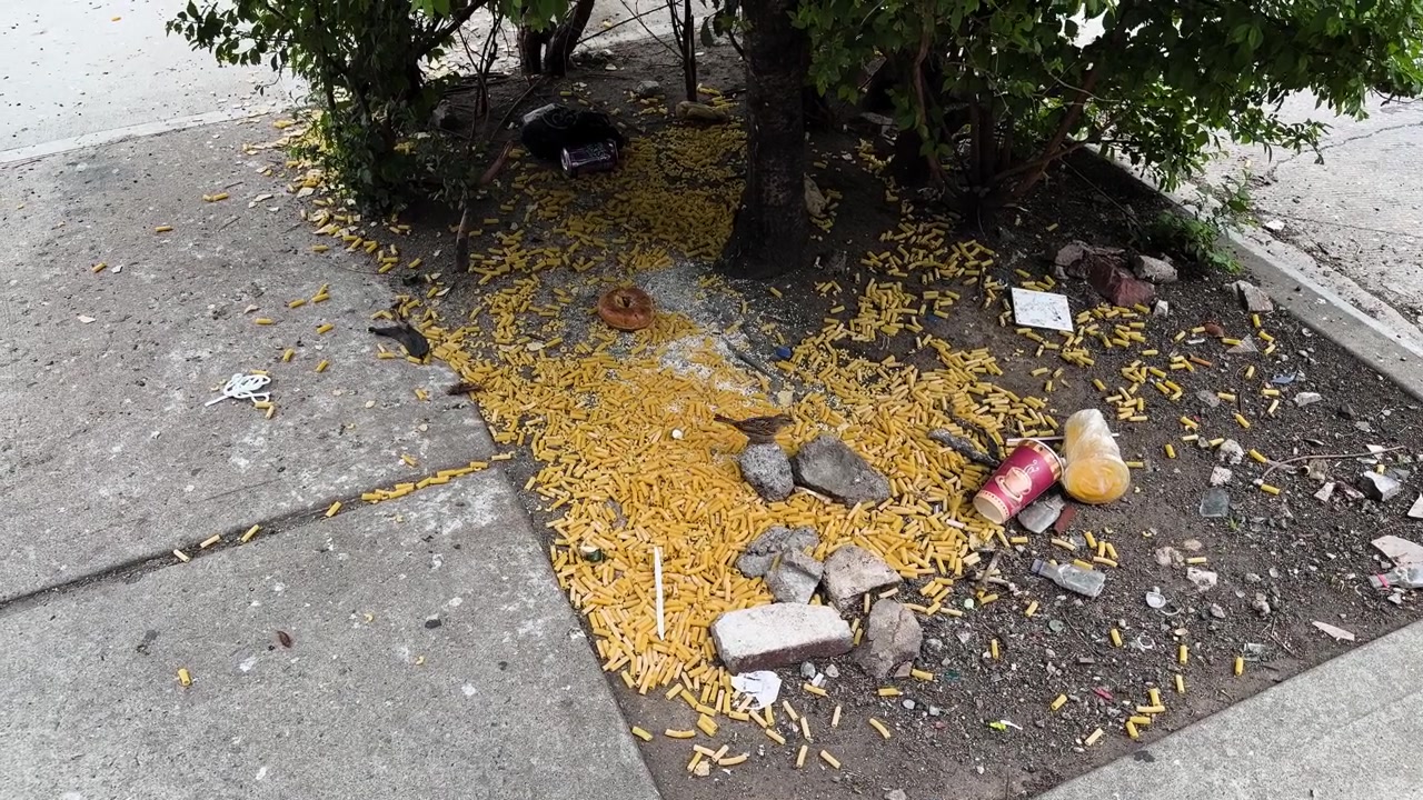 Rifiuti e avanzi di cibo sparsi intorno a un'aiuola urbana accanto al marciapiede della città