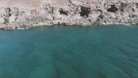 Aerial-static-overhead-view-of-a-lonely-sea-turtle-swimming-above-the-surface-of-the-water-in-Hoʻokipa,-Paʻia,-Maui,-Hawaii