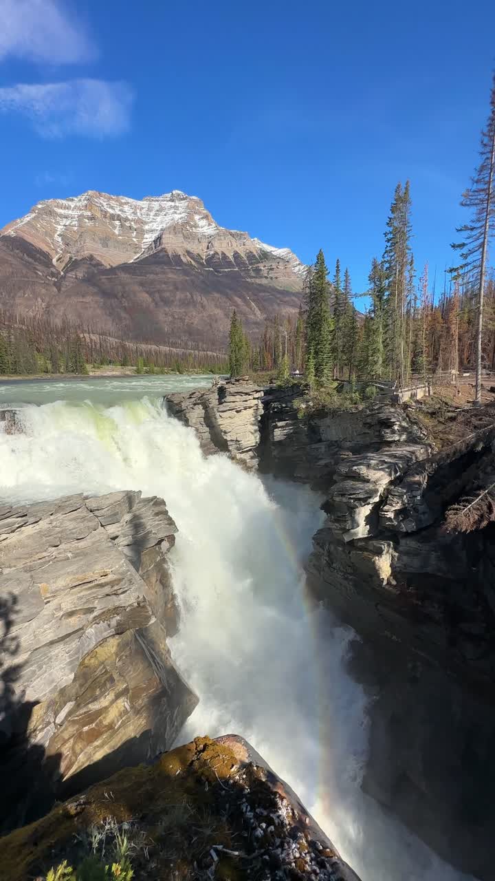 Maestose cascate dell'Athabasca che si riversano sulle rocce, con montagne e foreste nel Parco Nazionale di Jasper, Canada