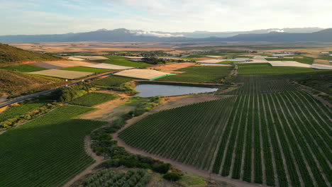 Vista-Aérea-Del-Valle-De-Riebeek-En-El-Cabo-Occidental,-Sudáfrica