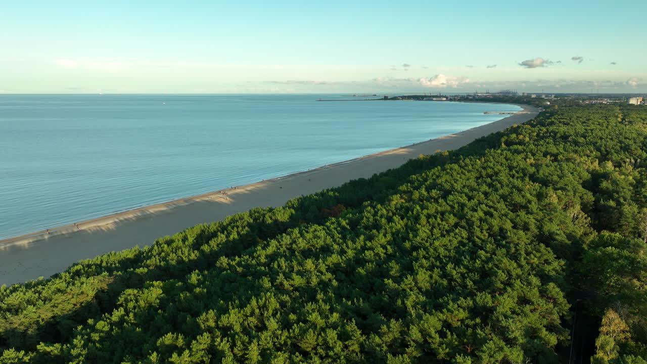 Wide aerial shot of a dense coastal forest meeting a calm ocean, under a clear blue sky, with a distant beach visible along the horizon