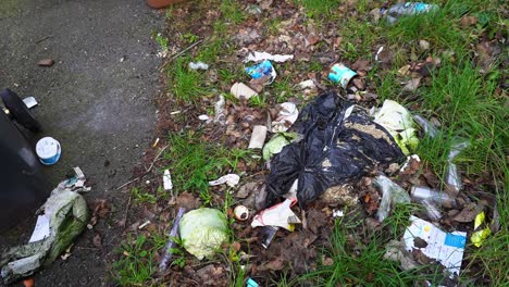 pañales sucios y desechos después de ser volcados con moscas, vertidos de basura, desechos peligrosos, basura, volcados con moscas en stoke on trent, una de las zonas más pobres de inglaterra