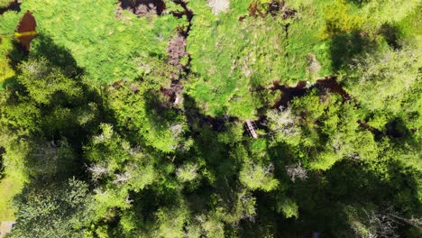 Flying-over-wetlands-and-landscapes-scenery-in-Snohomish-Washington-State