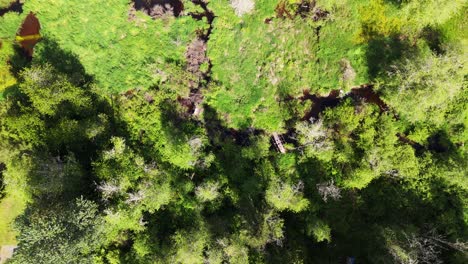 flying over wetlands and landscapes scenery in snohomish washington state