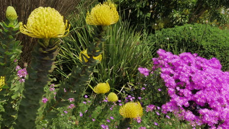 Beautifully-colourful-garden,-with-plants-swaying-in-breeze