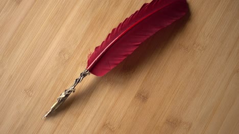 feather pen on wood background rotates