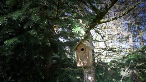 Hábitat-De-Aves-En-El-Jardín-Orgánico