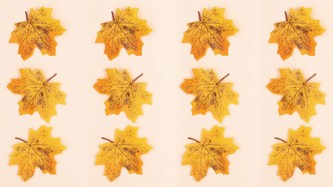 patrón de otoño hojas amarillas girando en tema beige. detener el movimiento