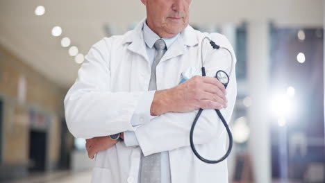 doctor, hands with stethoscope