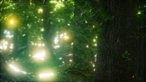 luciérnaga volando en el bosque
