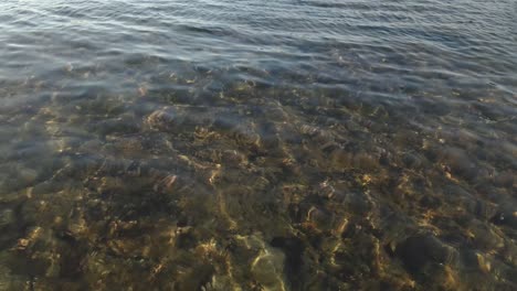 simple colourful shiny transparent ocean water surface shimmering shallow seascape