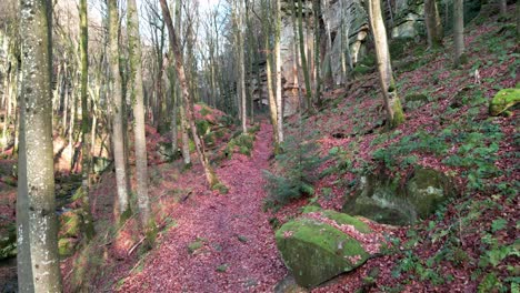 Aerial-shot-of-hiking-trail-of-Mullerthal-in-Luxembourg-late-fall---aerial-drone-shot