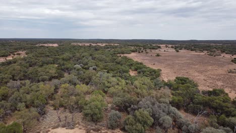 Aerial-view-of-a-remote-Australian-outback-land-with-trees-and-bushes-below