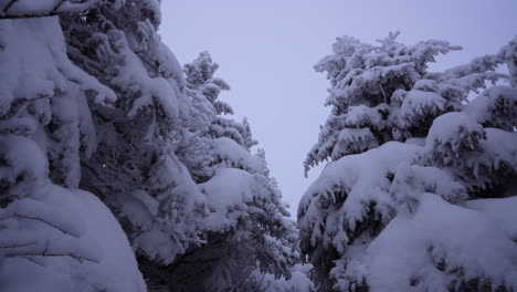 Dolly-Pan-Rodada-En-El-Maravilloso-Invierno-De-La-Montaña-Del-Este-De-Canadá