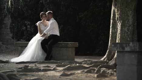 retratos románticos de parejas de bodas al aire libre