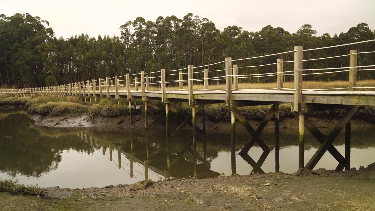 4k de cerca en un camino de comida de madera sobre un estanque de marea baja en la ria de aveiro en el estuario del río vouga