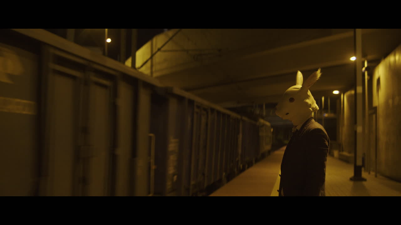 Man in a rabbit head mask