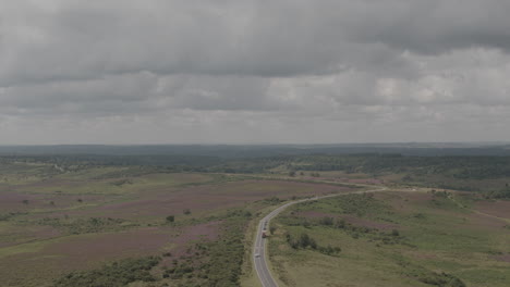 drone aéreo paisaje estático tiro amplio de coches en inglés nuevo bosque campo en un día nublado de mal humor