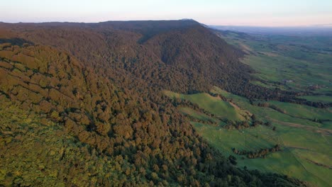 Kaimai-Ranges-üppige-Naturlandschaft-Auf-Wairere-Falls-Waikato-Track,-Nordinsel,-Neuseeland