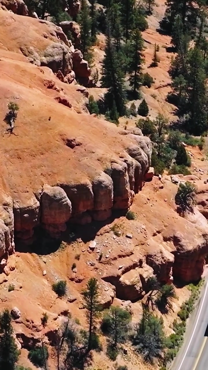 Paesaggio del Mojave con terreno roccioso e alberi sparsi durante il giorno