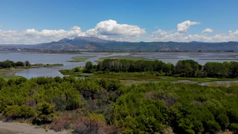 Laguna-Natural-De-Kune-En-Albania-Con-Aguas-Poco-Profundas-Rodeada-De-Exuberante-Vegetación-Y-Montañas-En-Un-Día-Nublado-De-Verano