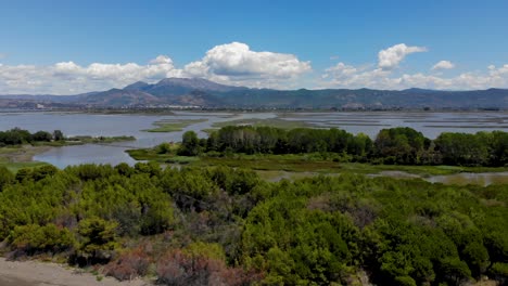 laguna natural de kune en albania con aguas poco profundas rodeada de exuberante vegetación y montañas en un día nublado de verano