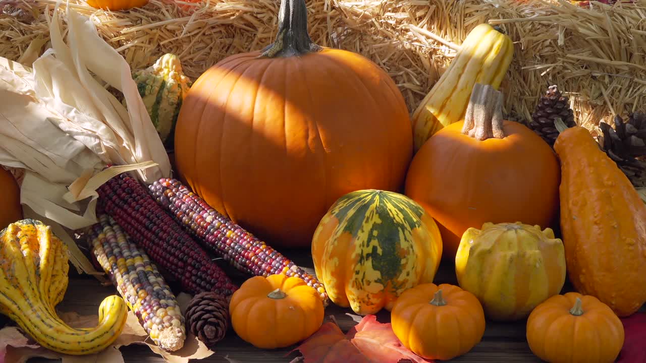 자연 채광이 있는 야외 나무 테이블에 있는 건초 베일 옆에 있는 다채로운 호박과 조롱박의 왼쪽에서 오른쪽 팬 샷
