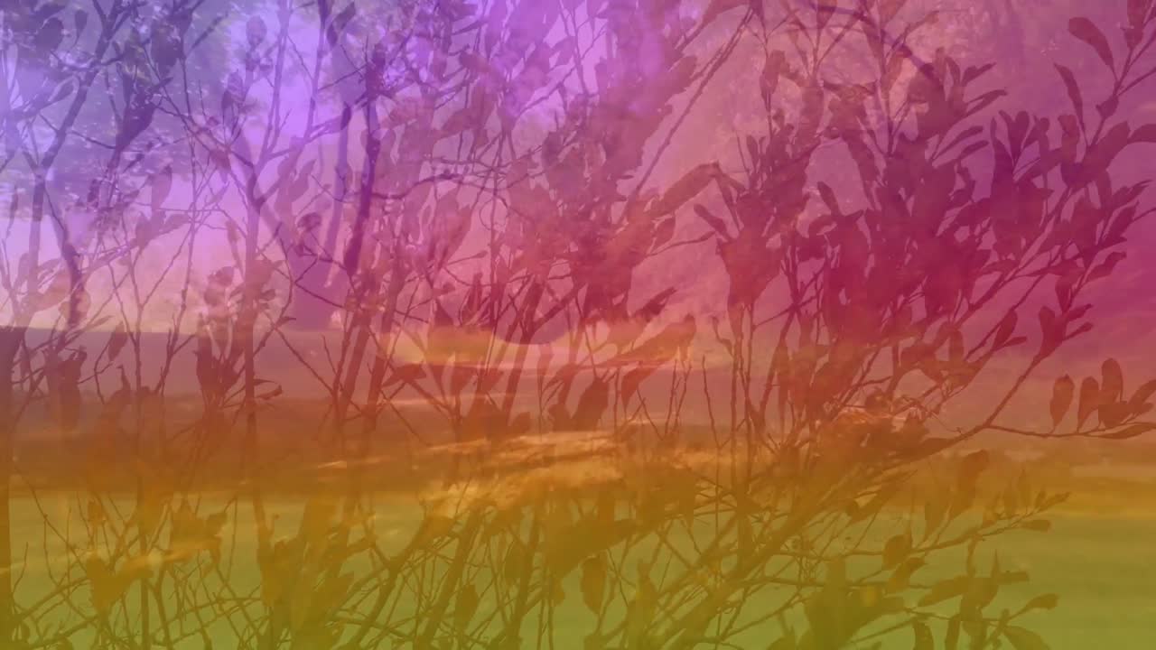 Animation of colorful light over forest