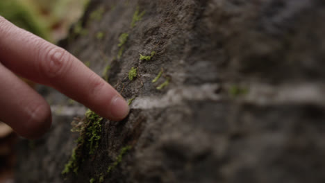 Hands-touching-rock-in-woodland