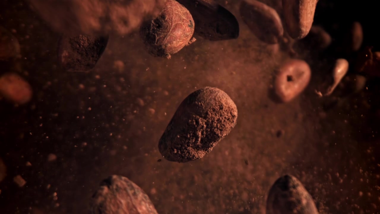 Cámara lenta de granos de cacao cayendo con cacao en polvo