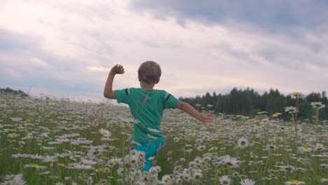 child running in a chamomile field