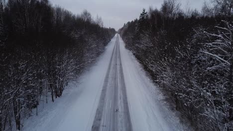 aerial view of winter road alley surrounded by snow covered trees in overcast winter day, small snowflakes falling, wide angle drone shot moving forward