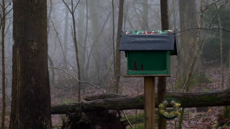 Grandes-Pájaros-Tit-Volando-De-Un-Lado-A-Otro-En-Una-Pajarera-En-El-Bosque