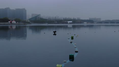 Ein-Vogel,-Der-Auf-Dem-See-Ruht