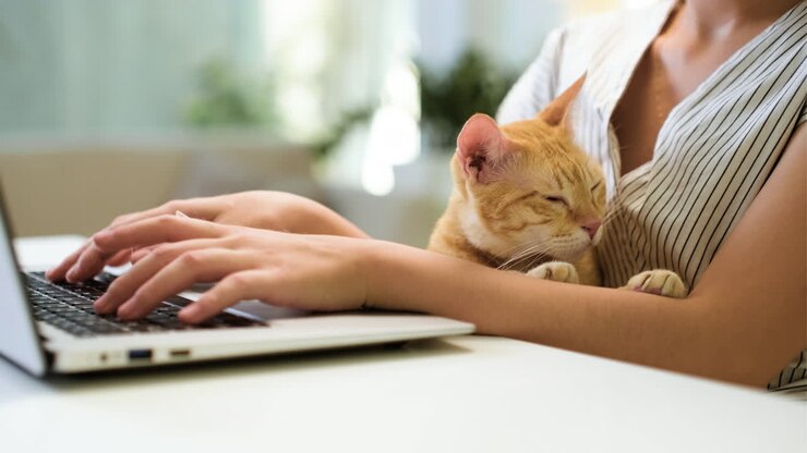 Woman working on laptop with cat
