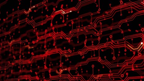 fondo de tecnología abstracta. placa de circuito procesamiento futurista con tecnología de red digital animación en bucle. fondo rojo con señales eléctricas de circuito