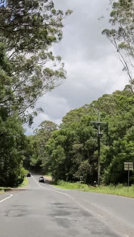 a car travels along a winding forest road