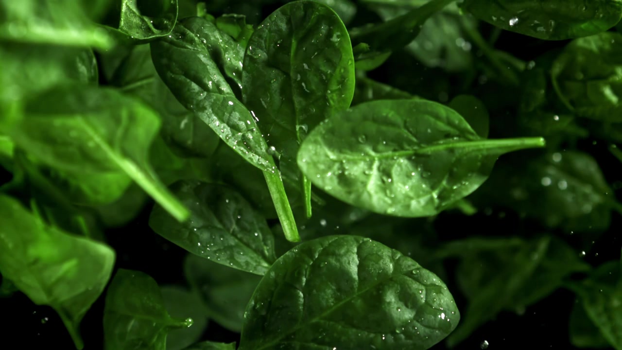Foglie di spinaci freschi con gocce d'acqua che cadono al rallentatore