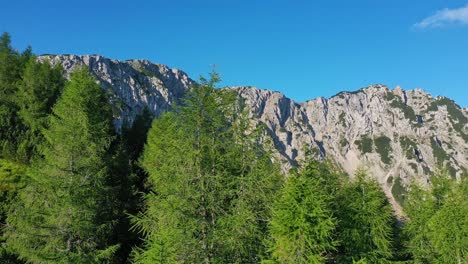 drohnenansicht der felsigen berge, die über den pinienwäldern im berg petzen bei st