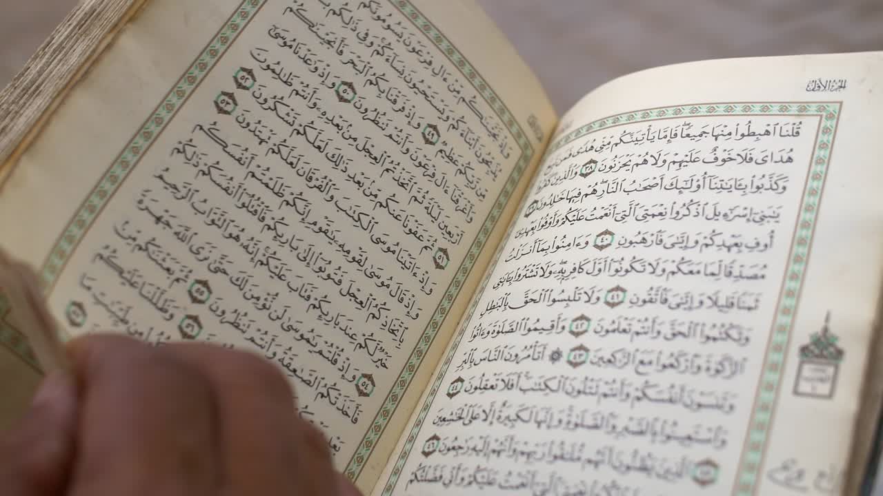 꾸란을 통해 잎