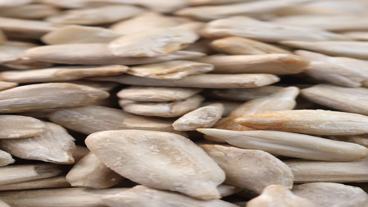 태양꽃 씨의 근접 촬영