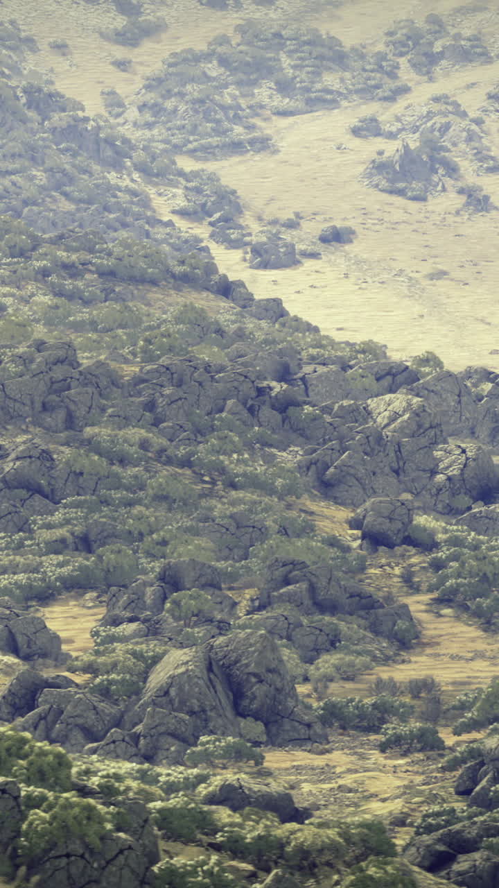 Vast rocky landscape with vegetation under soft sunlight