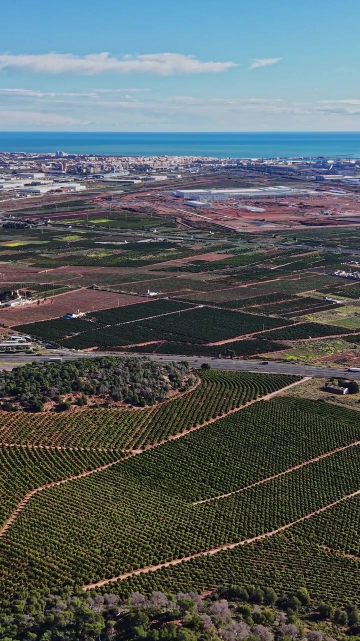 Vista sui vigneti e sulla costa da un punto panoramico in Spagna